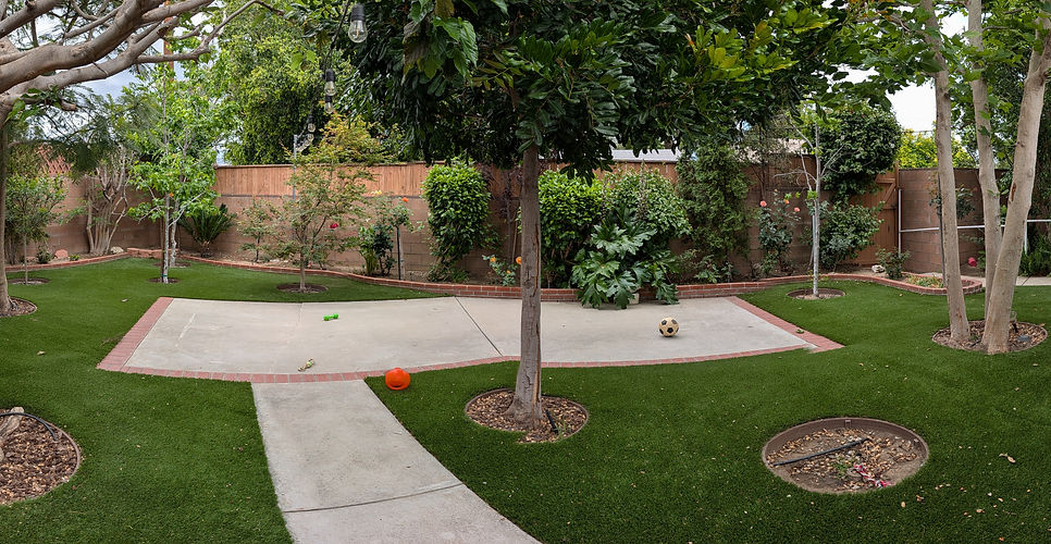 PXL_20260504_205138936.PANO (1).jpg