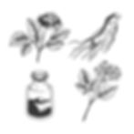 TCM HERBS