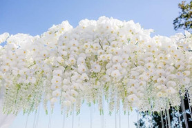 untitled image