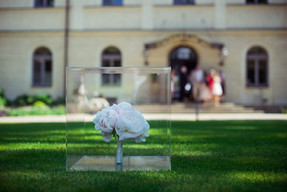 untitled image