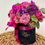 Thumbnail: Flower-box / FUCHSIA