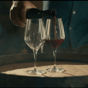 giphy-5.gif