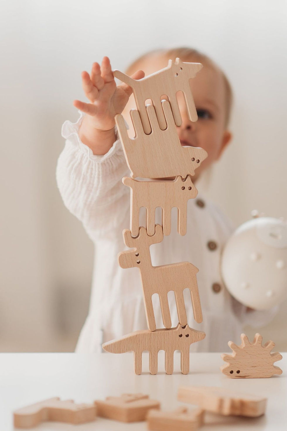 2e33da2b9ab2b614de0a1897e1e9ec01 (1).jpg