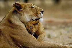 image (3)