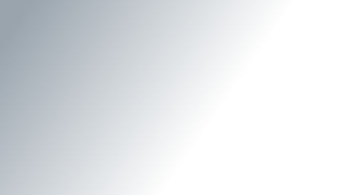 gray%20gradient_edited_edited.jpg