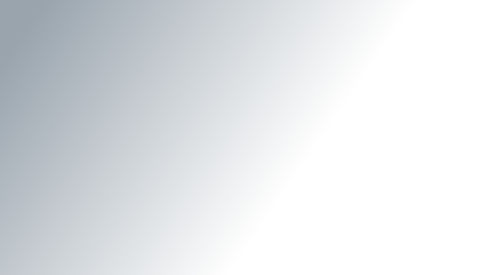 gray%20gradient_edited_edited.jpg