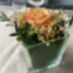 Roses oranges