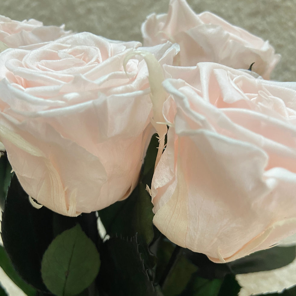 Miniature : Bouquet de Roses éternelles, rose pale