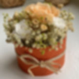 Fleurs couleur abricot
