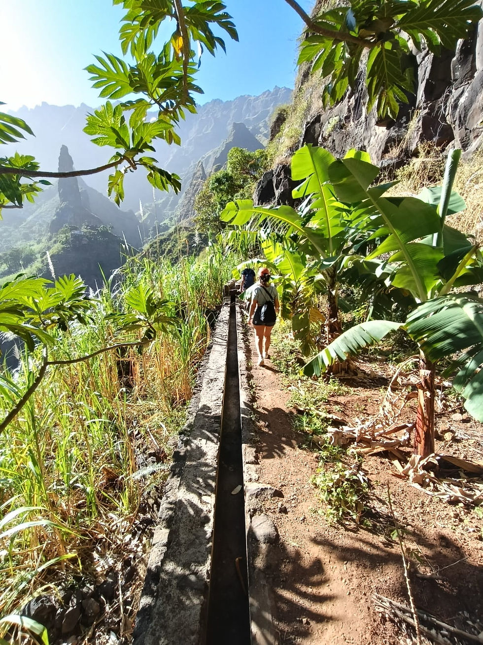 Thumbnail: Expedição à ilha das Montanhas
