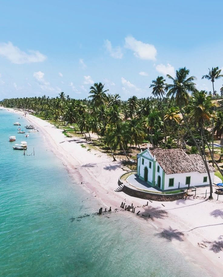 Miniatura: Brasil | Costa dos Corais