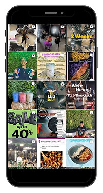 lauren design website graphics.jpg