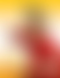 Alessandro Dela Cruz 2nd Degree Black Belt