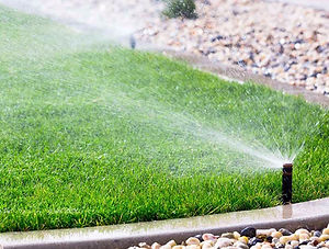 Irrigation Northern Beaches