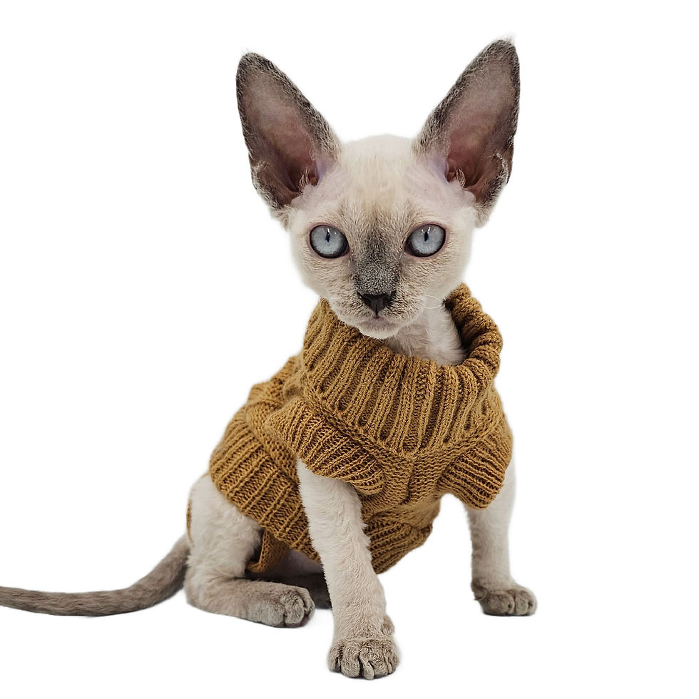 Thumbnail: YokoKat Camel Turtleneck Devon Rex Cat Sweater