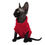 Thumbnail: YokoKat Red Turtleneck Devon Rex Cat Sweater