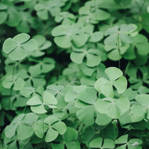 What's luck got to do with it?