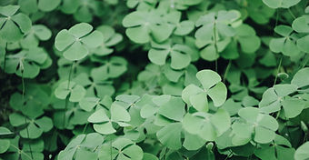 Publication n°12 - LinkedIn - Margaux GRADELER