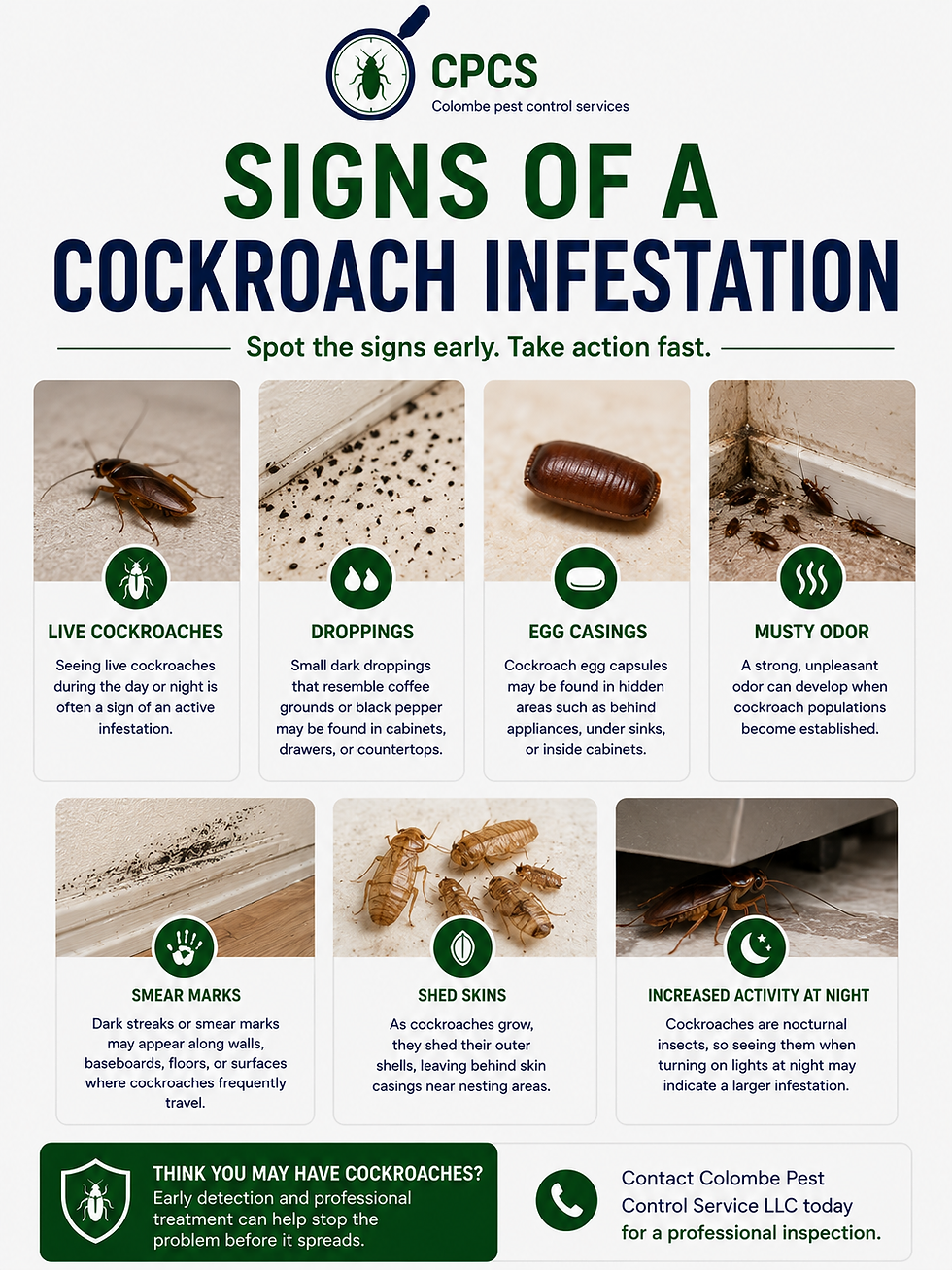 Cockroach.png
