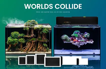 uns-ultra-clear-tanks-dual-aio-34479736979656_947x612_491e3980-502c-4cc2-bf52-30b6160284e8