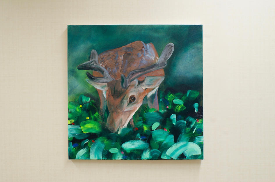 Deer in a park