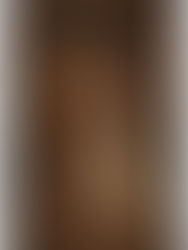 The Carnevale after the Curtain 落幕の心情