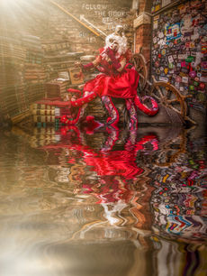 Covid-19 Pandemic Travel Restrictions