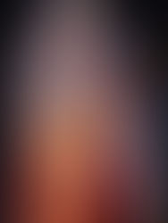 Horus Ba 荷魯斯巴 - 入面法老王 ホルス・バ