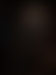 Cinematic Encounters 美麗の邂逅