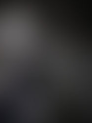 The Silver Butterfly: A Whisper of Mystery at the Venice Carnevale 鐵蝴蝶