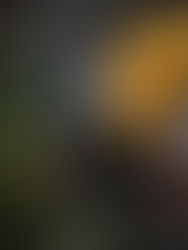 Geisha New Year Portrait 恭賀新春 · 謹賀新年