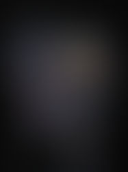 Elizabethan Playhouse - Gorilla Ballet Dancers 伊麗莎白劇院 - 大猩猩芭蕾舞者