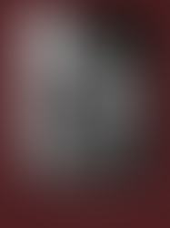 World Masterpiece Theater 世界名作劇場