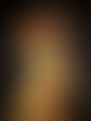 Die Kristallkugel 水晶の玉