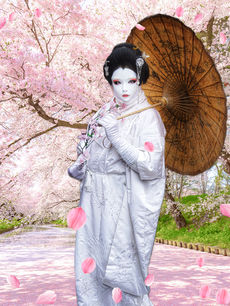 The Story of Cio-Cio-San (Madame Butterfly) 蝴蝶夫人