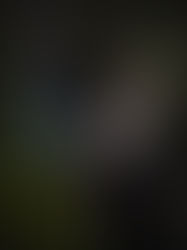 The Geisha at the Waterfall 日本の芸者と滝