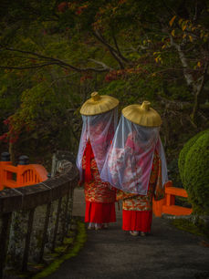 Kumano Kodō 熊野古道