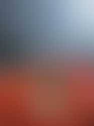 常照寺の秋天 Autumn at Joshoji 