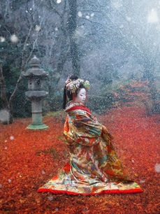 常照寺の秋天 Autumn at Joshoji 