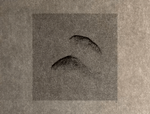 broadcast5.gif