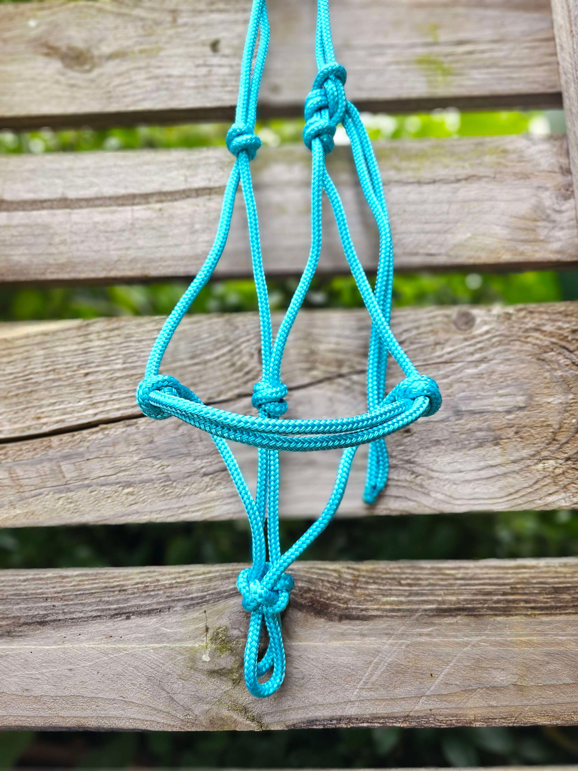 Pony halter