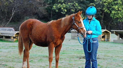 373632226_3579201495698940_3049225747582