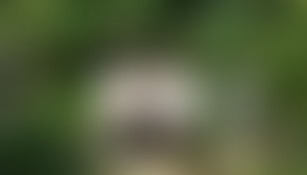 2024年10月7日 田谷の洞窟