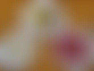 2025年11月17日 料理会