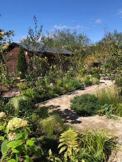 navrh zahrady presov