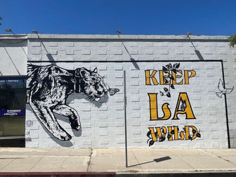 Silver Lake's P-22 Has Citywide Fame