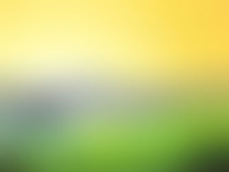 Silver Lake Wildlife Sanctuary Update