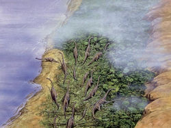 Manada de Braquiosaurios