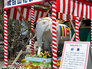 マヤ暦スペシャルディと花まつり
