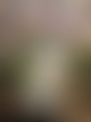 レイキで花粉症ストップかな？